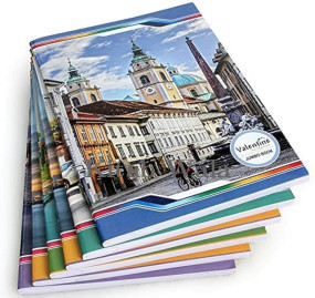 student-notebooks/long-notebook-a4-soft-cover-300-pages-single-line-pack-of-12