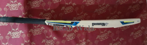 CRICKET BAT DIXON WARRIOR ( KASHMIRI WILLOW )