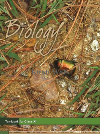 NCRT BIO (CLASS 11 )(WITH PLASTIC BINDING)