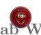 LEATHER CRICKET BALL (DIXON CLUB)