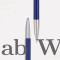 Blue Parker Profile Ball Pen With Stainless Steel Trim (Pack of 1)