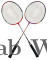 DIXON Club Badminton Racket with Cover Pair, Racket Set