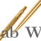 Parker Classic Gold Trim Ball Pen (Ballpoint Pen for Smooth Writing)