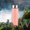 Milton Stream 750 Stainless Steel Water Bottle (ISI Certified, Leak Proof)