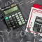 ELI W39251 Palm Calculator (Compact Portable Basic Calculator)