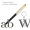 Parker Galaxy Standard Teim Ball Pen (Silver Key Chain)