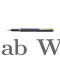 PIERRE CARDIN PARIS TRIUMPH Premium Roller Ball Pen (Elegant Luxury Writing Pen)